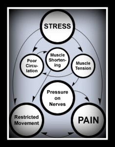 stress_cyclepic