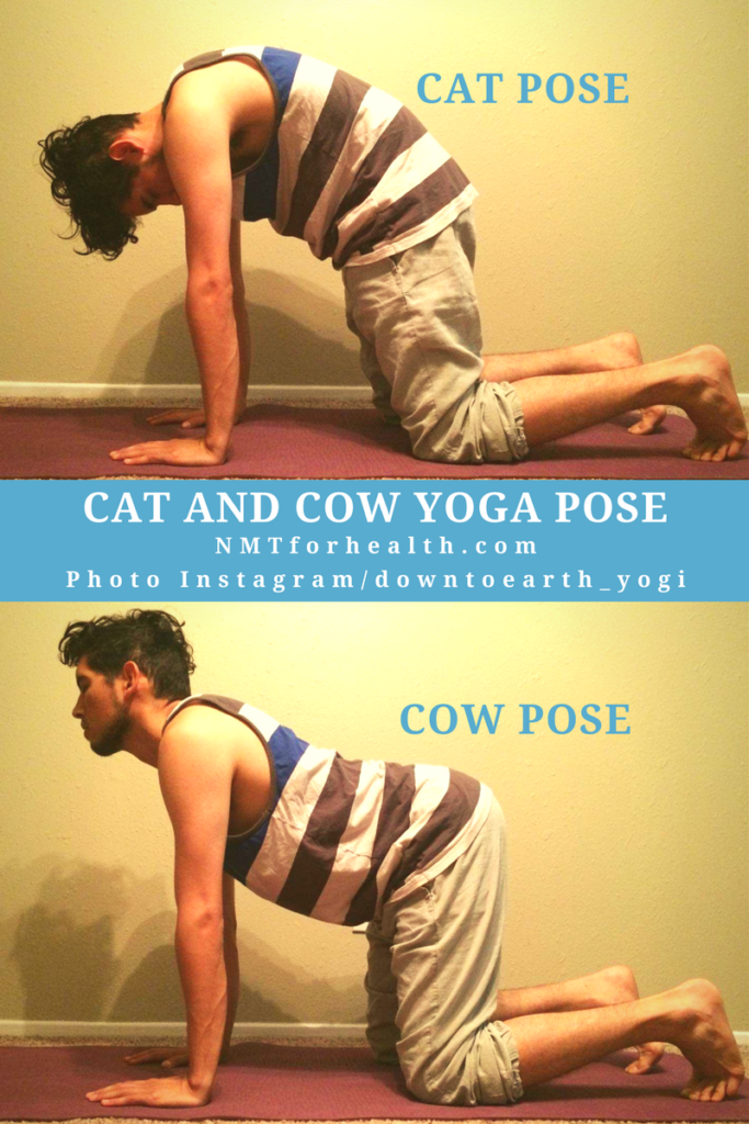 Relieves lower back pain and sciatica by improving your posture and circulation with Cat/Cow pose