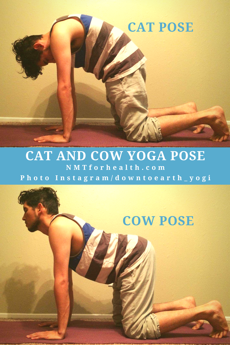 Start improving posture and circulation at home with Cat/Cow pose