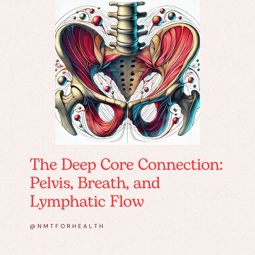 The Missing Link: Pelvis, Deep Core & Bone Health (Natural Stack Series, Part 3)