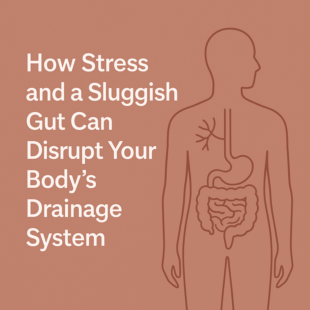 How Stress and a Sluggish Gut Can Disrupt Your Body’s Drainage System