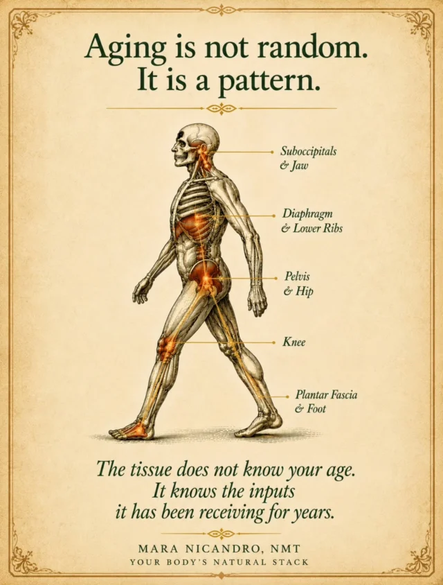 Transform Your Health: The Healing Power of Visceral Manipulation
